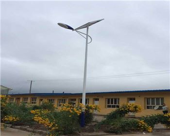 青海農(nóng)村太陽能路燈-青海定西渭源縣太陽能路燈項目