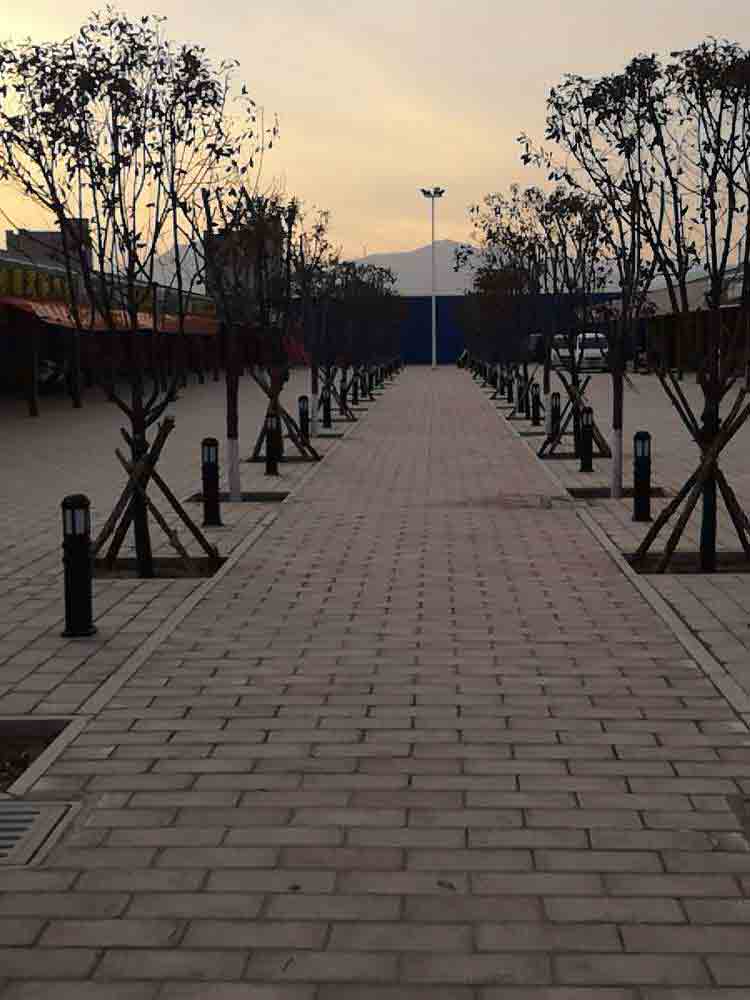 草坪燈生產(chǎn)廠家 草坪燈生產(chǎn)廠家